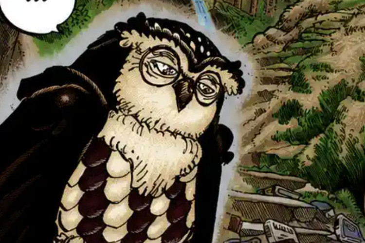 Spoiler RAW! Lecture En Ligne Manga One Piece Chapitre 1183 Scan VF FR, Le Début d'un Flash-back