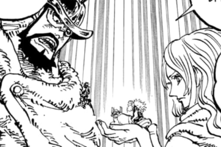 RAW One Piece Chapitre 1174 FR VF Scan, nouvelles instructions