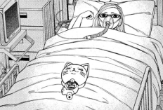 Lecture En Ligne Manga Dandadan Chapitre 220 Scan VF FR, RAW! La Gratitude Doit être Exprimée