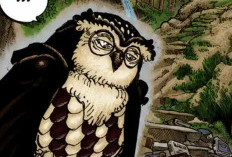 Spoiler RAW! Lecture En Ligne Manga One Piece Chapitre 1183 Scan VF FR, Le Début d'un Flash-back