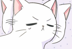 Lecture En Ligne Webtoon Le Tyran et Son Petit Chat Chapitre 4-5 Scan VF FR, RAW! Chat Mignon et Attachant